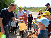 Das Bild zeigt einen Imker der einer Gruppe Kinder eine Honigwabe zeigt - Bild vergrößert  sich bei Mausklick