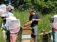 Imker am Bienenkasten mit Zuschauern - Bild vergrößert  sich bei Mausklick
