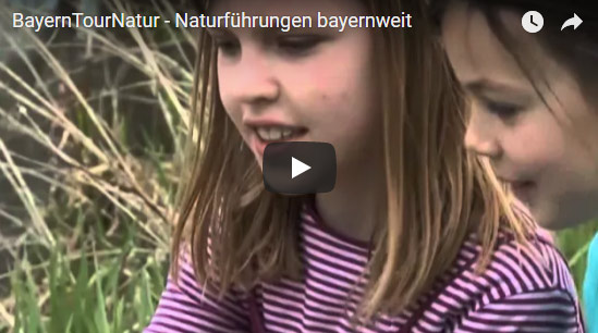 Video zur BayernTourNatur - Externer Link zum YouTube Kanal des Bayerishen Staatsministeriums für Umwelt und Verbraucherschutz