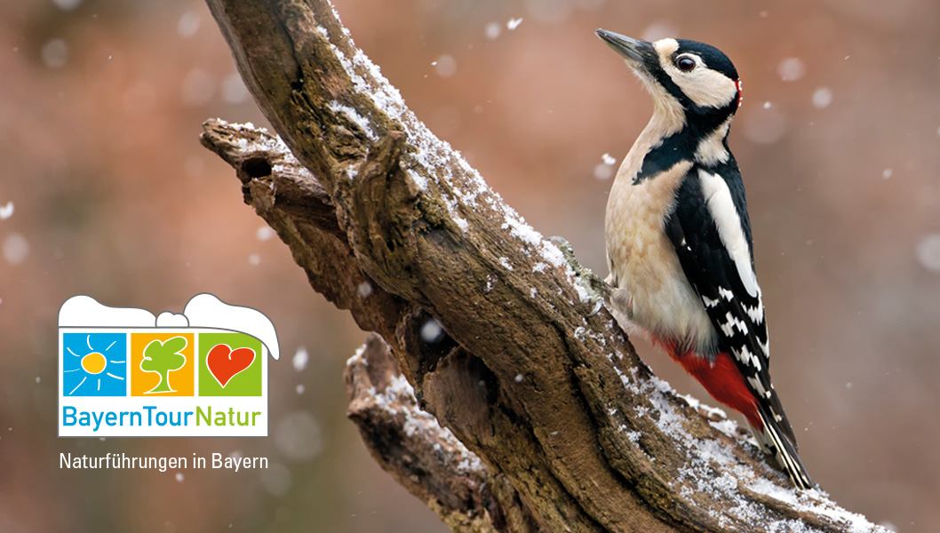 Onlinebanner der BayernTourNatur