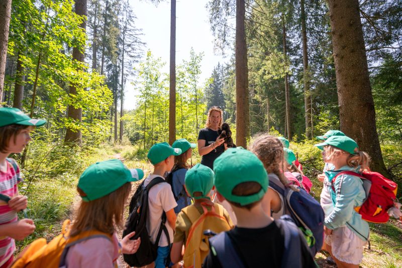 Ein Ranger zeigt mehreren Kinder etwas aus der Natur