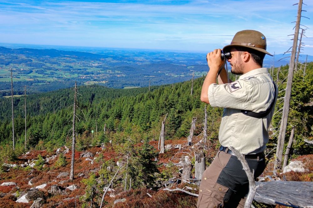 Ein Ranger blickt mit einem Fernglas in die Ferne