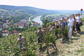 Zum Vergrößern bitte anklicken; Gästeführung "Das Schloss, der Berg, die Reben" am Kallmuth mit Klaus-Dieter Geis, 24.06.2007; Quelle: Elisabeth Geis