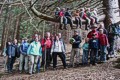 Zum Vergrößern bitte anklicken; Mai-Wanderung der BN-Kreisgruppe Kempten Oberallgäu in Sonthofen. Quelle: Bund Naturschutz