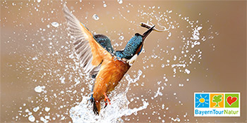 Postkarte der BayernTourNatur