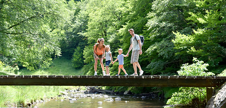 Das Bild zeigt eine Familie auf einer Brücke in einem Wald - Bildquelle: PantherMedia