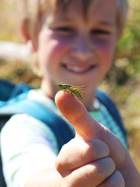 Das Bild zeigt einen Junge mit einer Heuschrecke, die auf seinem Finger sitz - Foto: Nationalparkverwaltung Bayerischer Wald